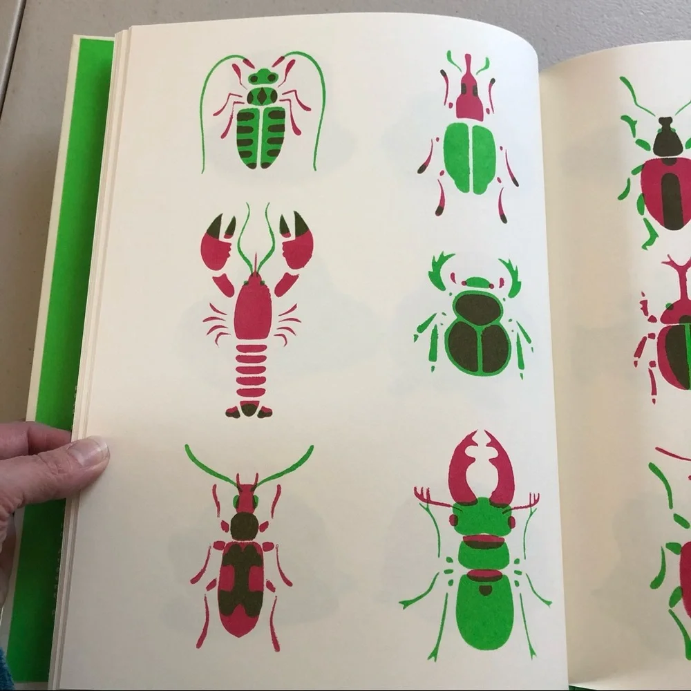 🌵 3/$15 Children’s Book of similarities and differences (see description)